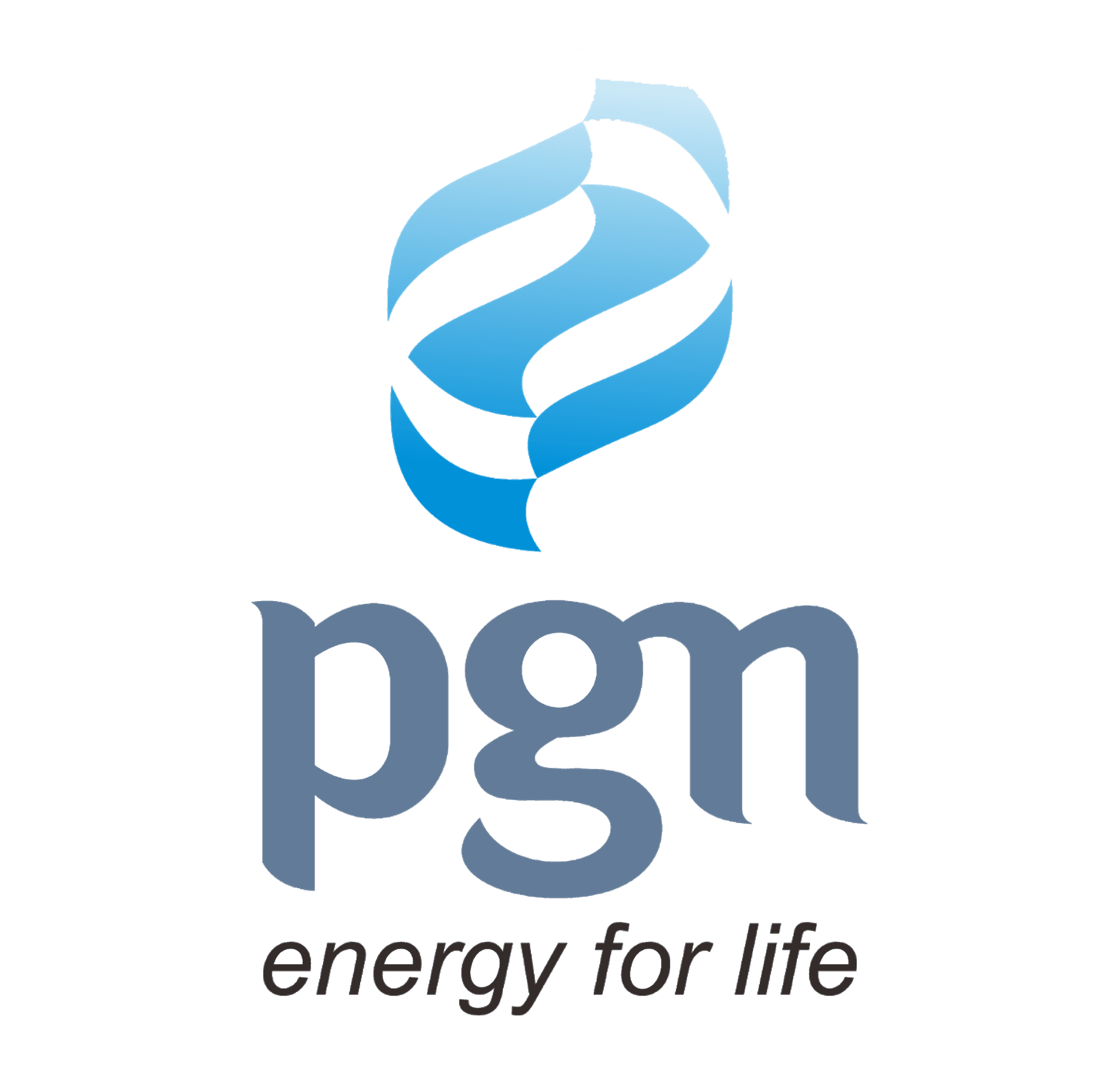 Perusahaan Gas Negara