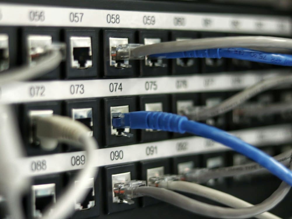 Network cables plugged into a patch panel.